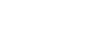 Text Box: Bhagria  Group